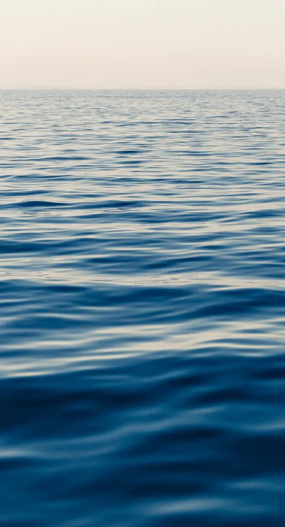 Das Bild zeigt ein Meer und steht sinnbildlich für das weite und offene Netzwerk von m0s.